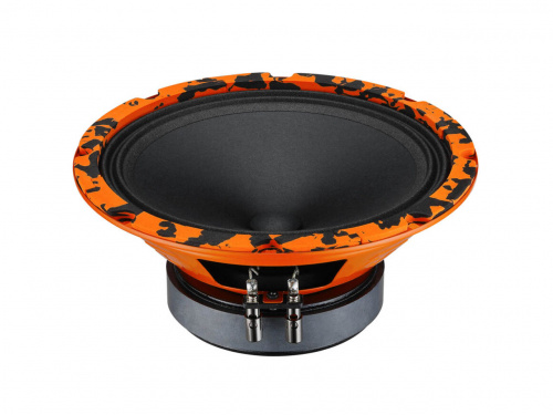 DL Audio Gryphon Pro 200