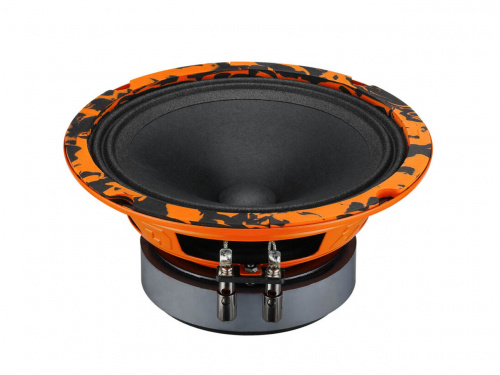 DL Audio Gryphon Pro 165
