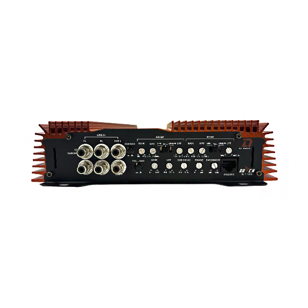 DL Audio Raven 5.1100