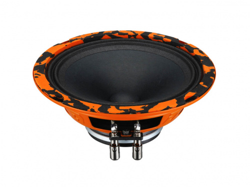 DL Audio Gryphon Pro 165 Neo