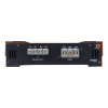 DL Audio Piranha 1.500