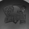 DL Audio Gryphon Pro 12 v.3