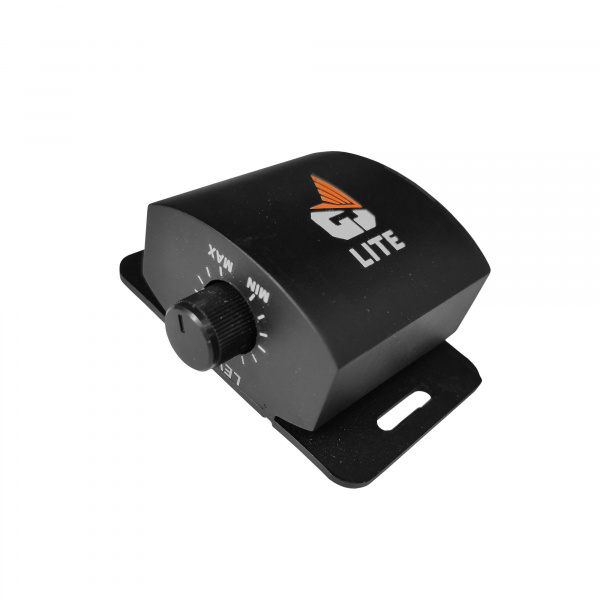 DL Audio Gryphon Lite 1.1000