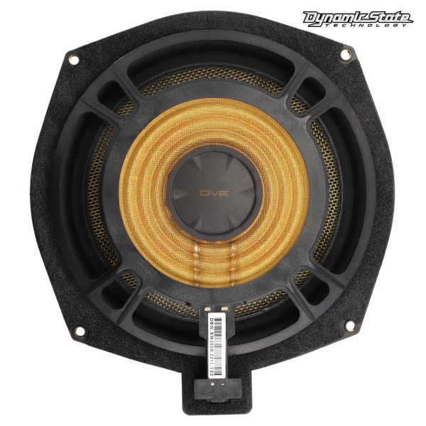 Dynamic State DSW-BMW202G DIVE Series