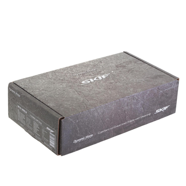 Dynamic State SKIF SKA-250.2