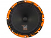 DL Audio Gryphon Pro 200 Neo