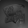 DL Audio Gryphon Lite 15 v.3