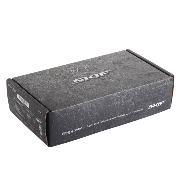 Dynamic State SKIF SKA-250.2 24V